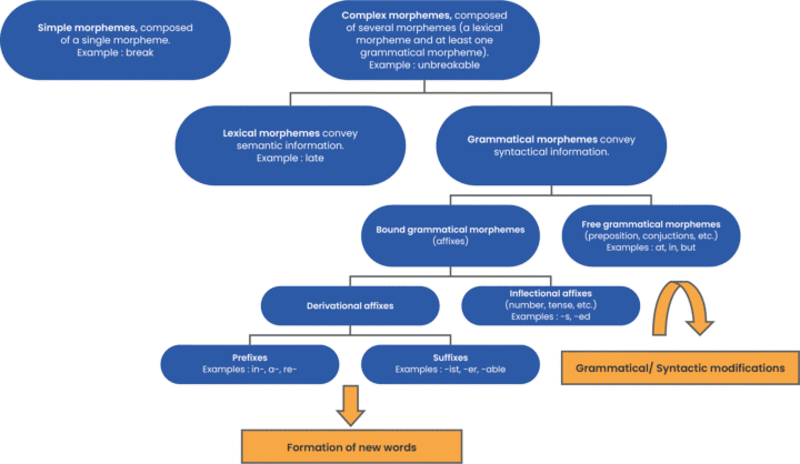 diagram-morphemes